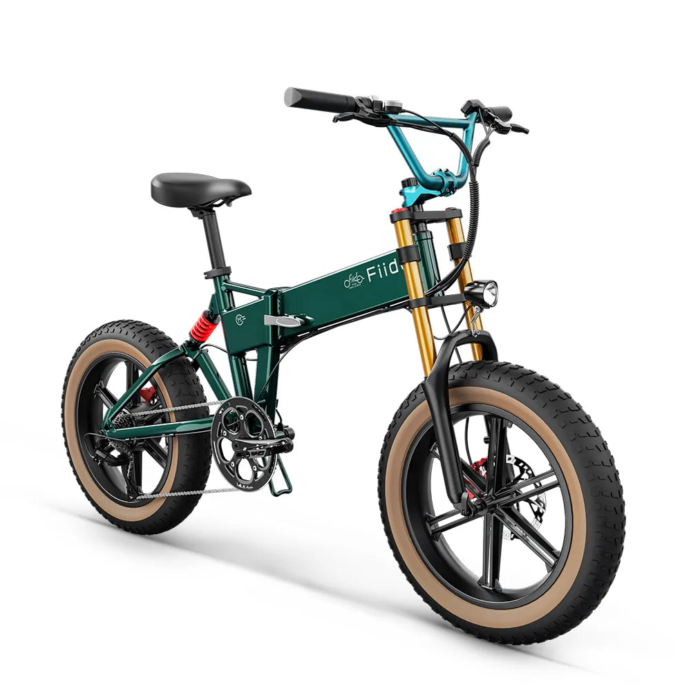 Fiido M1 Pro 2025 Compact Folding Electric Bike