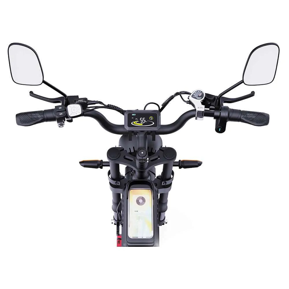 YVY C20 Pro Off Road E-Bike
