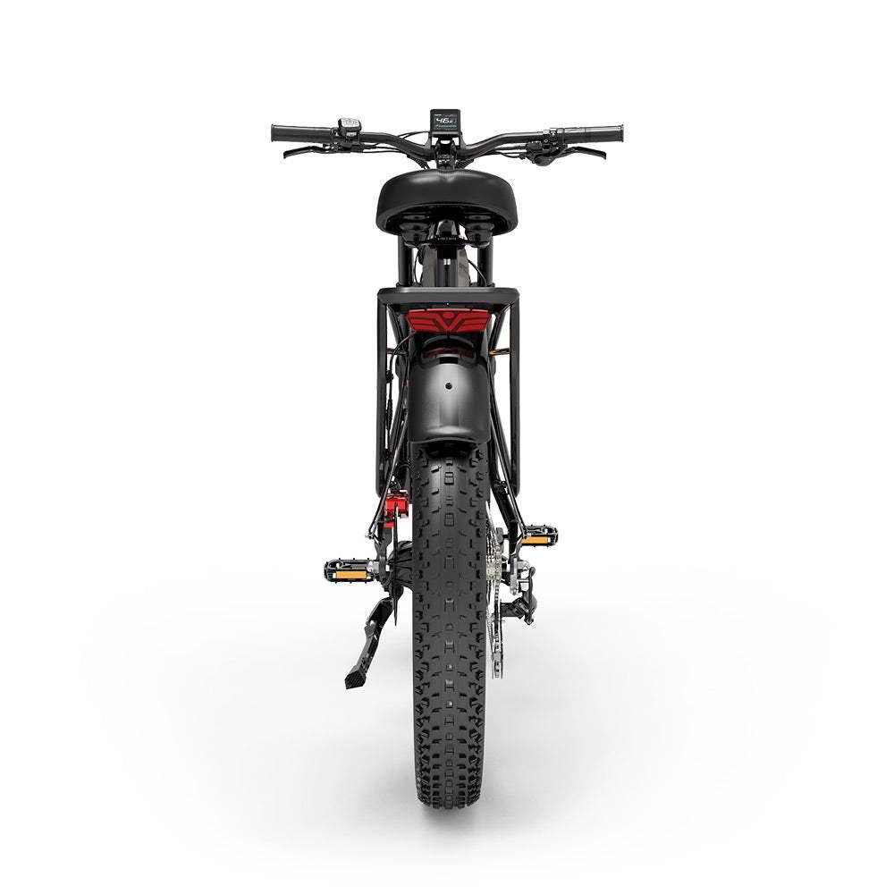 Lankeleisi MG800 Max Dual Motor Off Road E-Bike