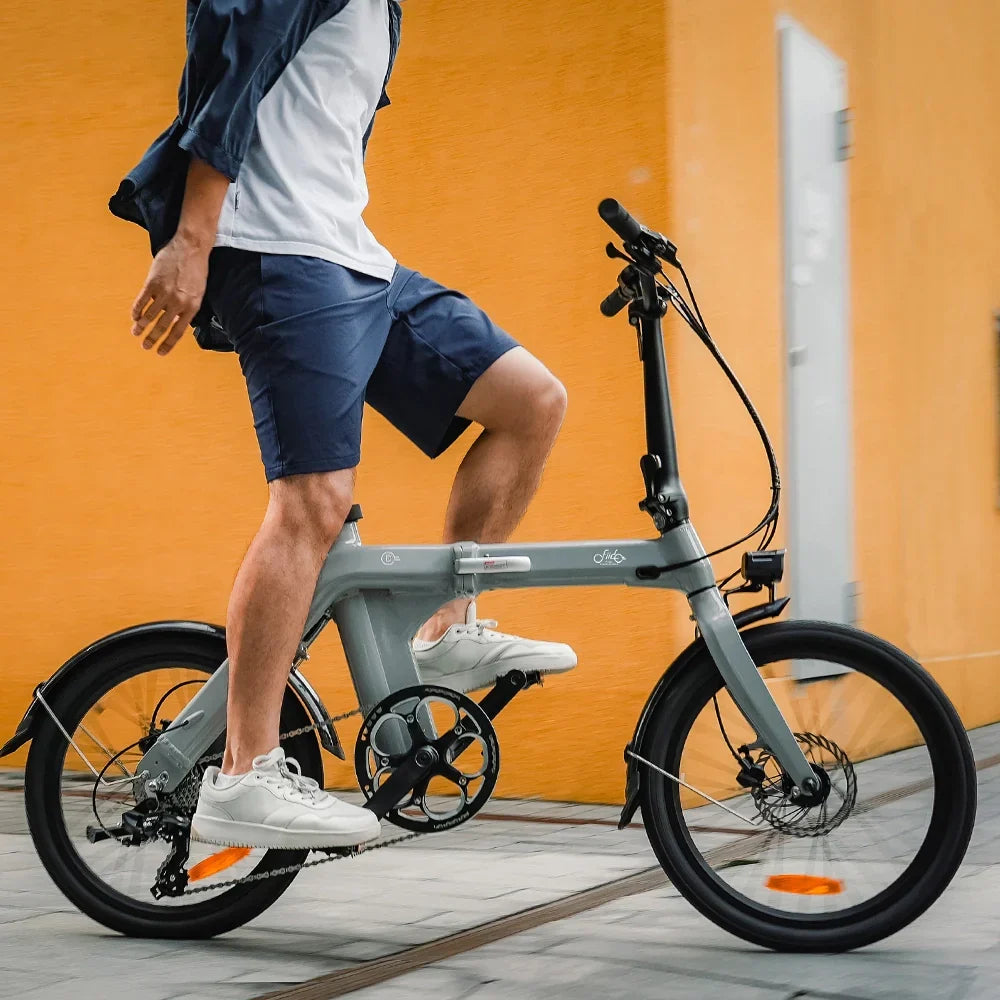 FIIDO D11  2025 Mountain Electric Bike