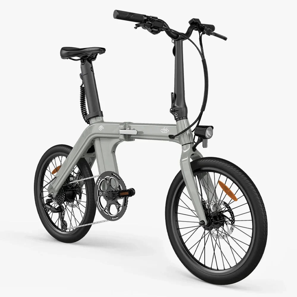 FIIDO D11  2025 Mountain Electric Bike
