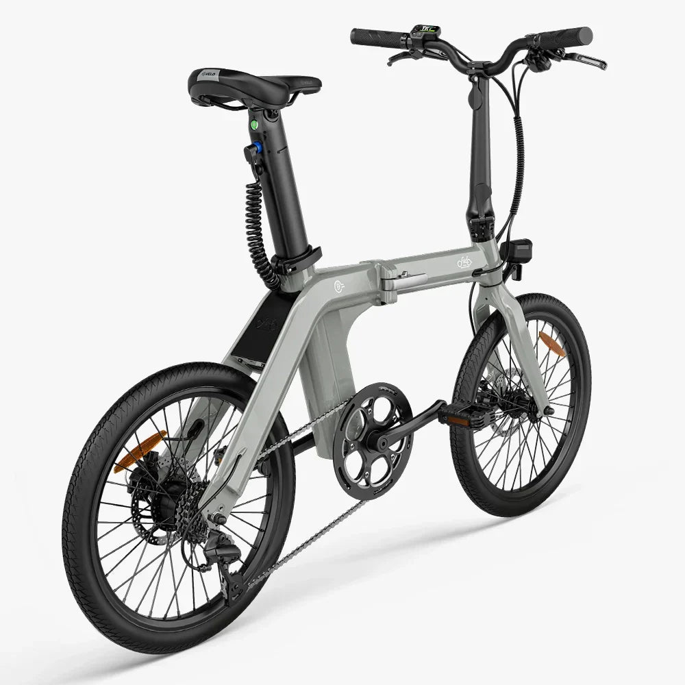 FIIDO D11  2025 Mountain Electric Bike