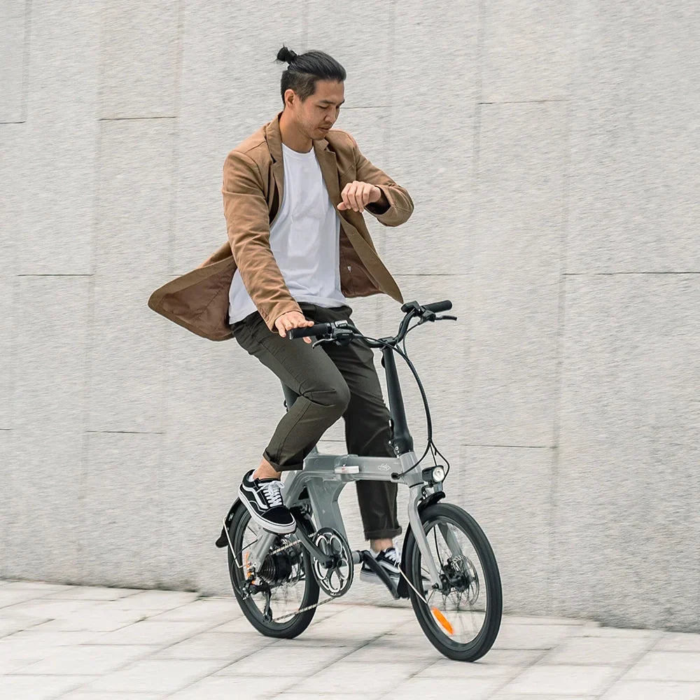 FIIDO D11  2025 Mountain Electric Bike