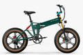 Fiido M1 Pro 2025 Compact Folding Electric Bike
