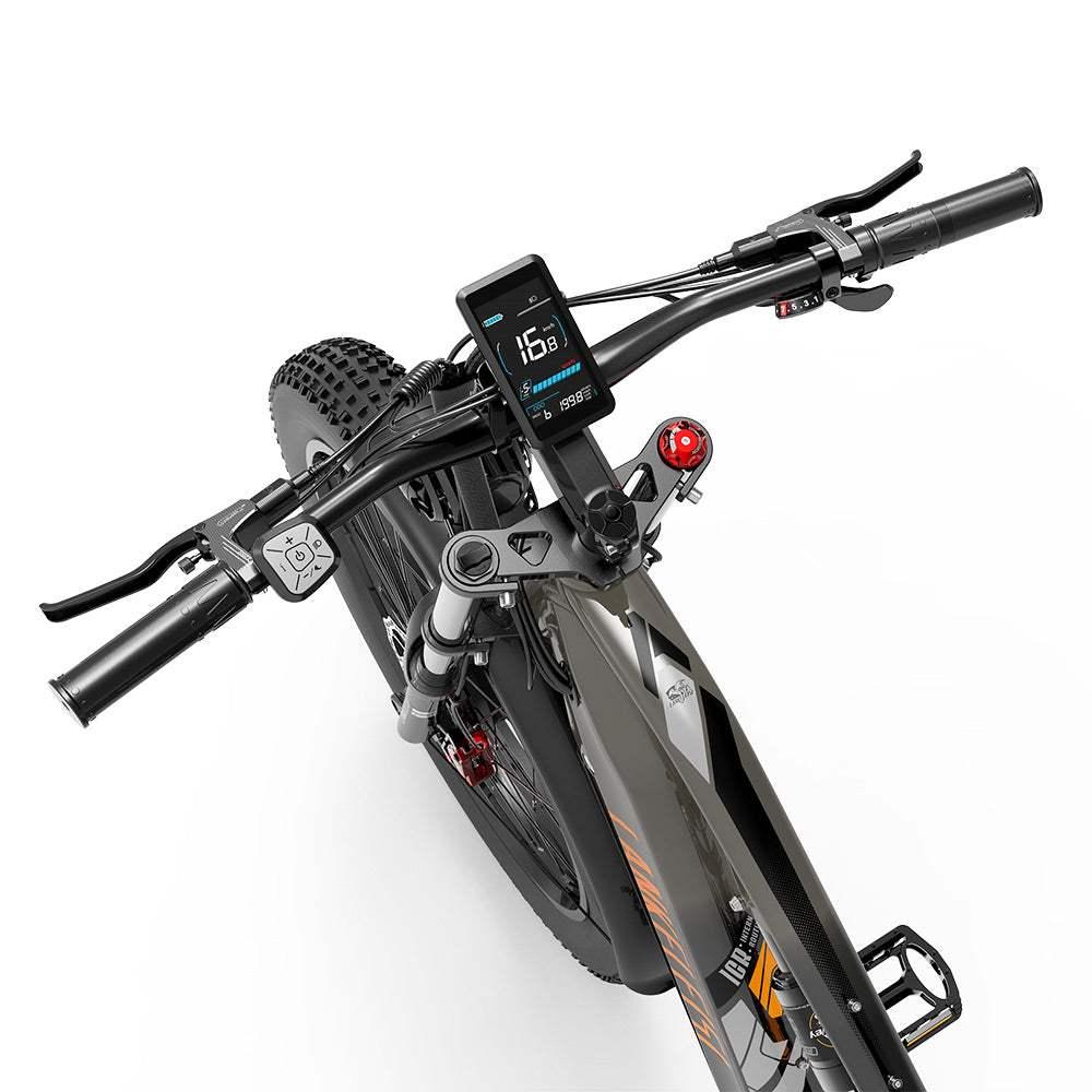 Lankeleisi MG800 Max Dual Motor Off Road E-Bike
