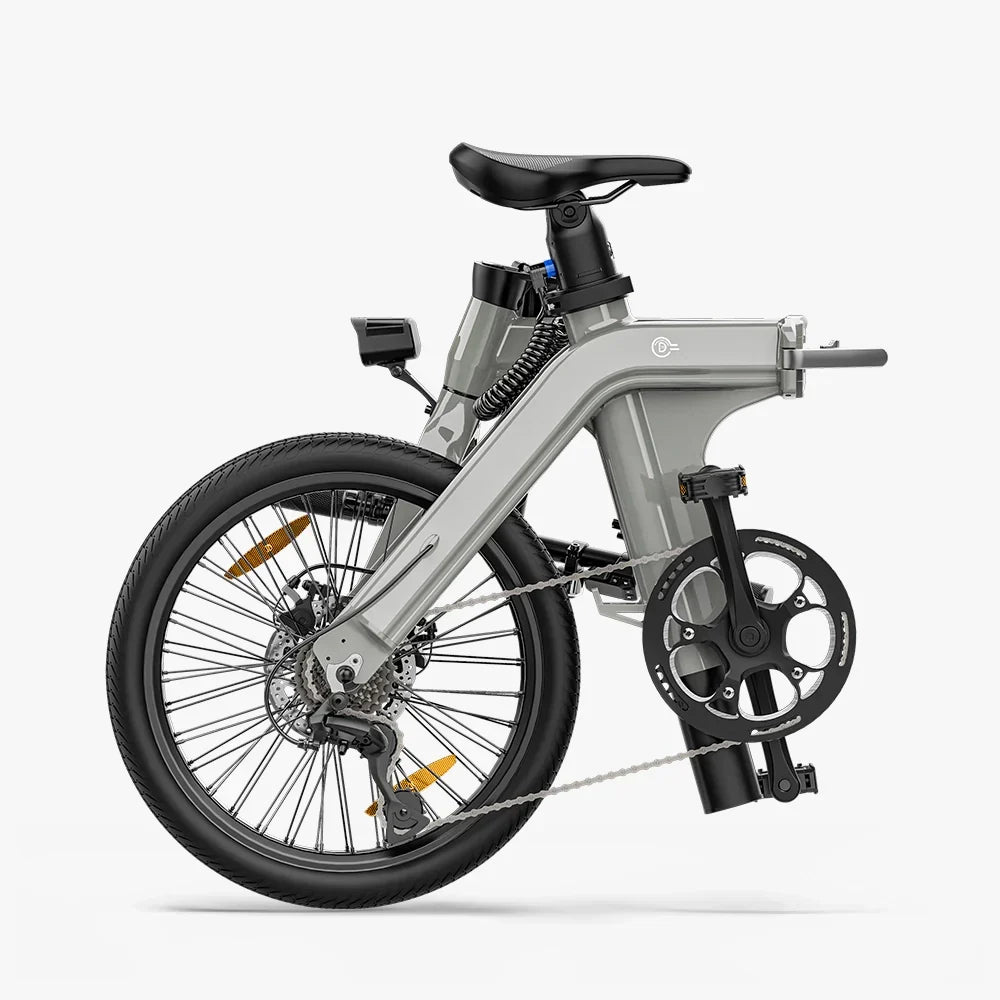 FIIDO D11  2025 Mountain Electric Bike