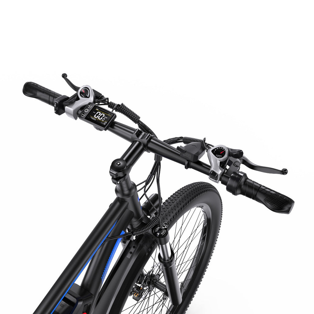 DUOTTS C29 Pro Off Road E-Bike