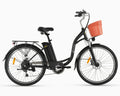 DYU C6 Upgraded Off Road E-Bike