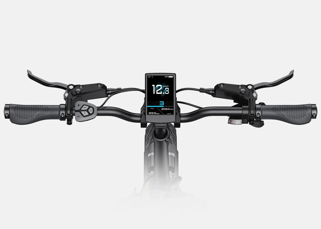Engwe L20 3.0 Pro Electric Bike