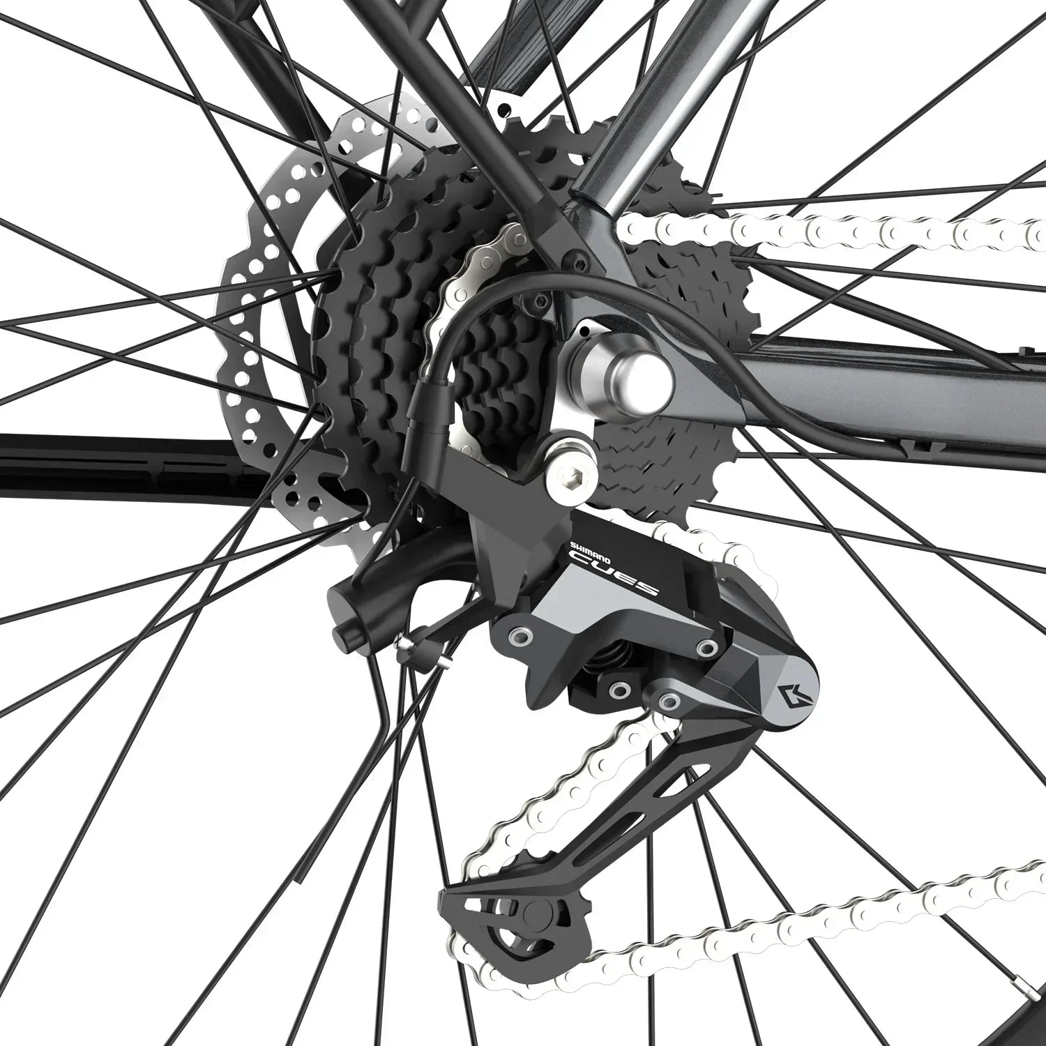 Fafrees F700W Electric Bike
