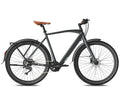 Fafrees F700M Electric Bike