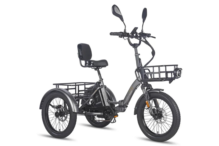 Fafrees F20 Mate Off Road E-Tricycle