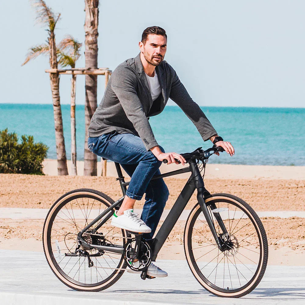 Fiido E-Gravel C21 Electric Bike