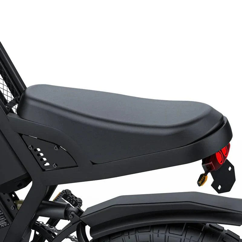 Coswheel GT20 Electric Bike