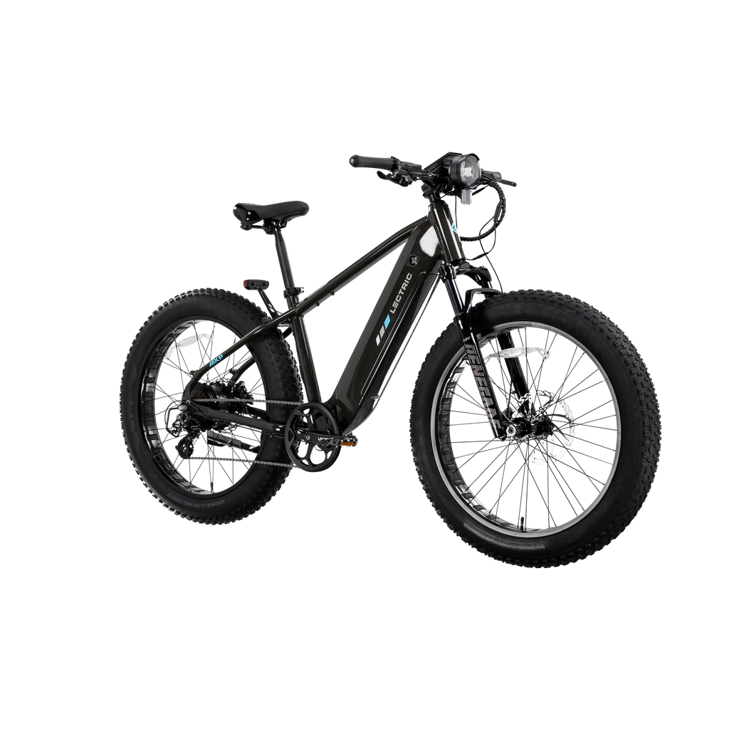 XPeak2 High-Step Long-Range eBike