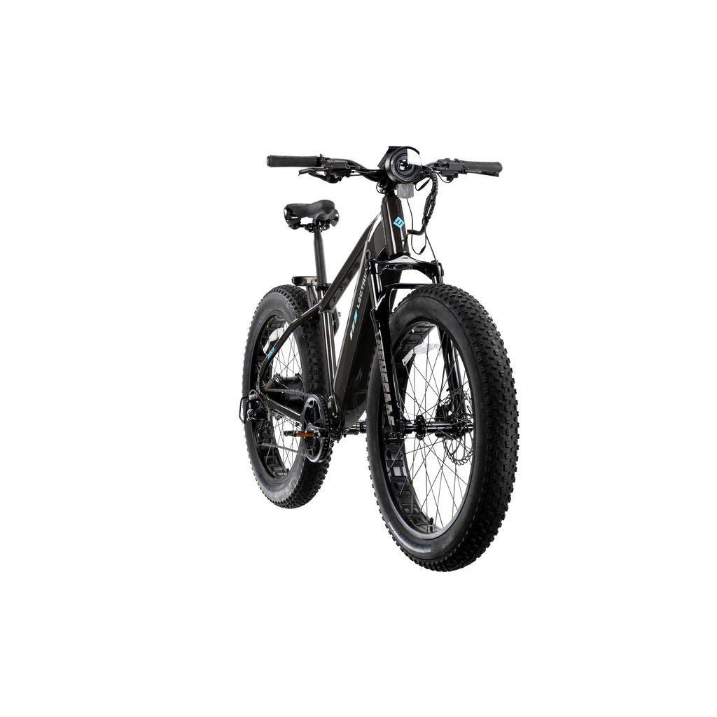XPeak2 High-Step eBike