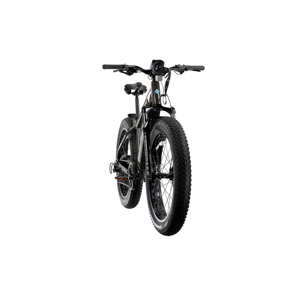 XPeak2 High-Step Long-Range eBike