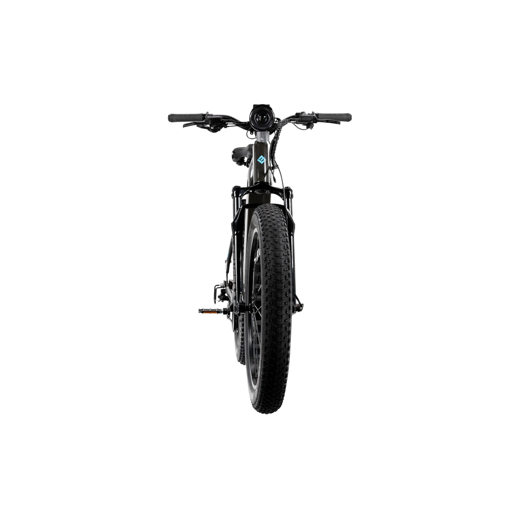 XPeak2 High-Step eBike