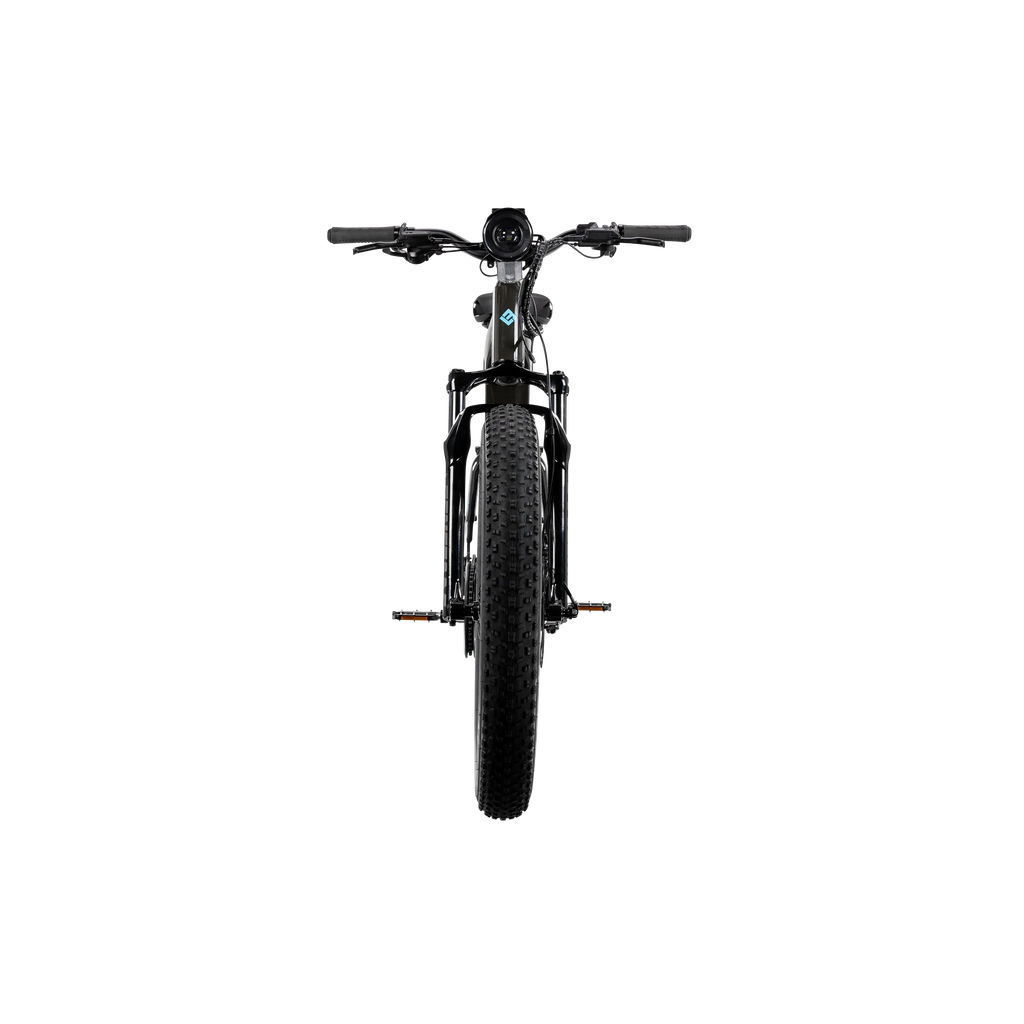 XPeak2 High-Step eBike