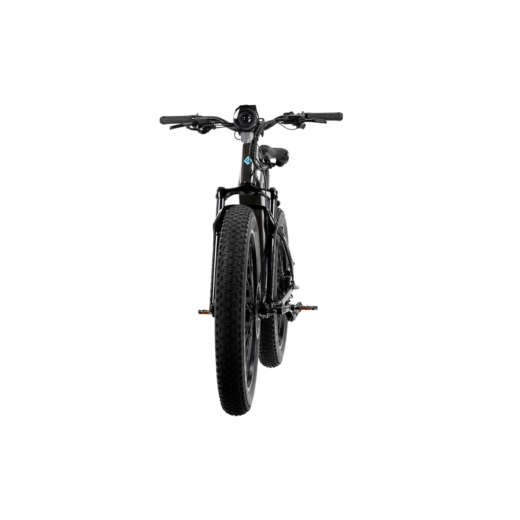 XPeak2 High-Step eBike