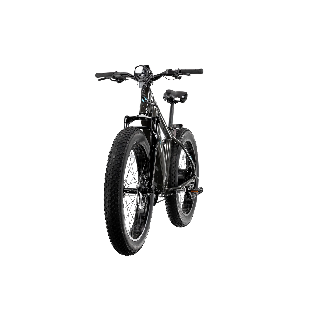 XPeak2 High-Step Long-Range eBike