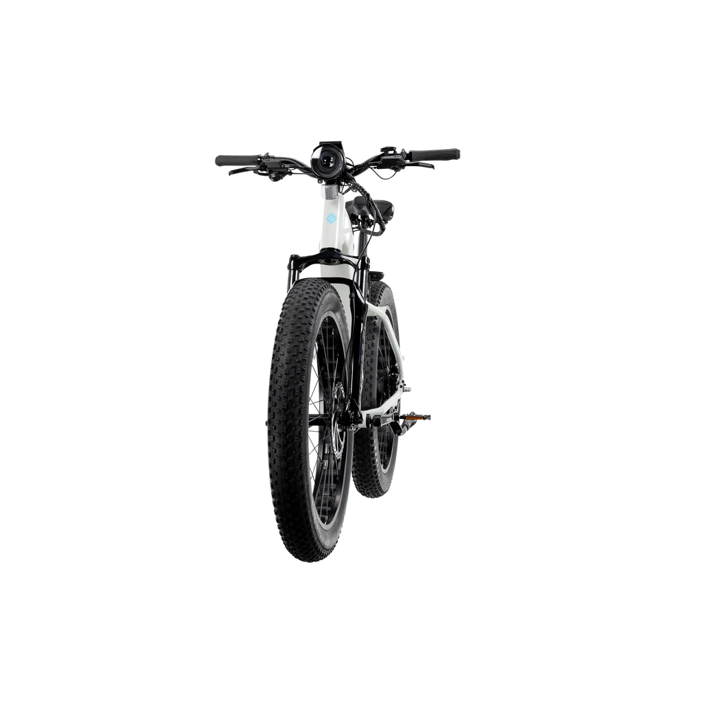 XPeak2 Step-Thru Long-Range eBike