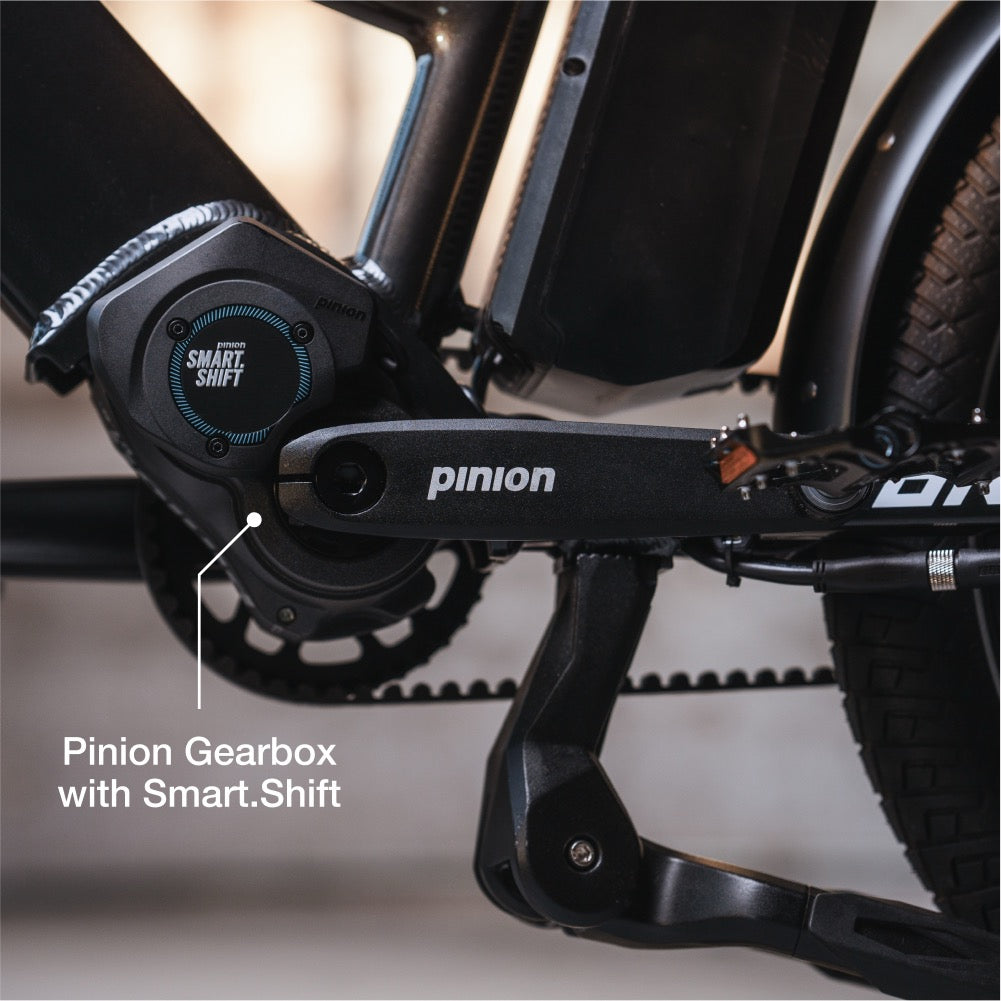 Lectric ONE Long-Range eBike