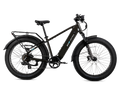 XPeak2 High-Step Long-Range eBike