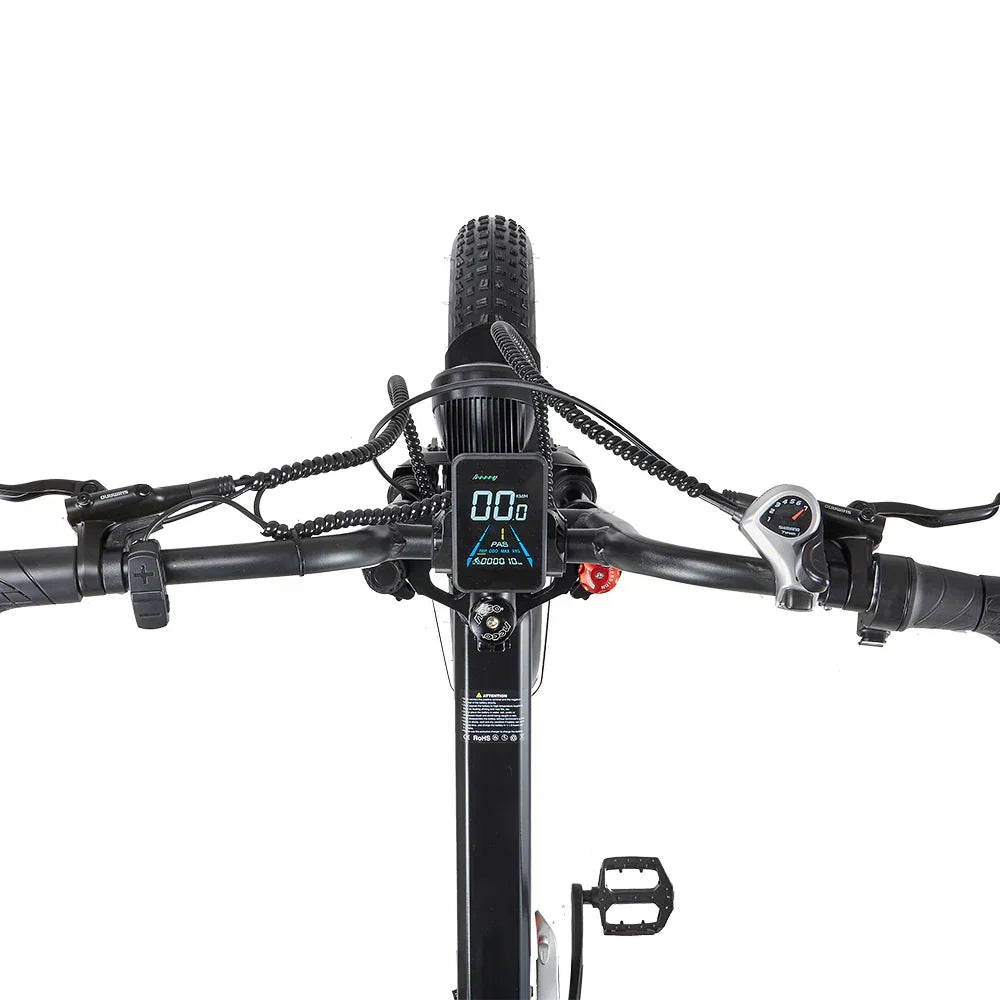 RANDRIDE YX20M-2 Dual Motor Off Road E-Bike