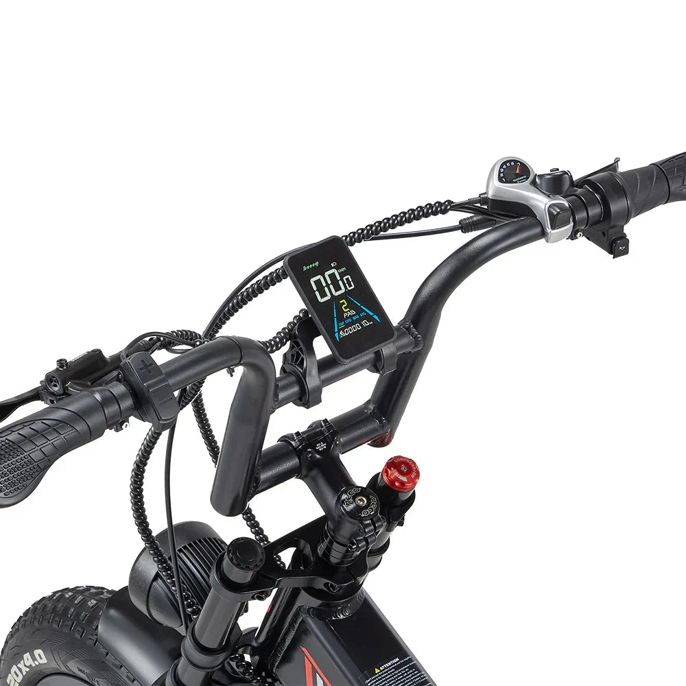 RANDRIDE YX20M-2 Dual Motor Off Road E-Bike