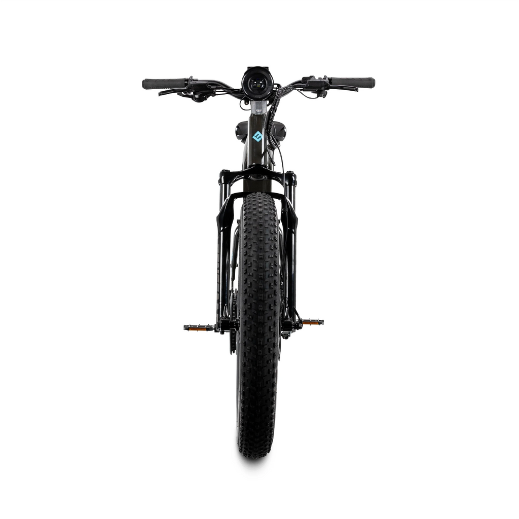 XPeak2 High-Step Long-Range eBike