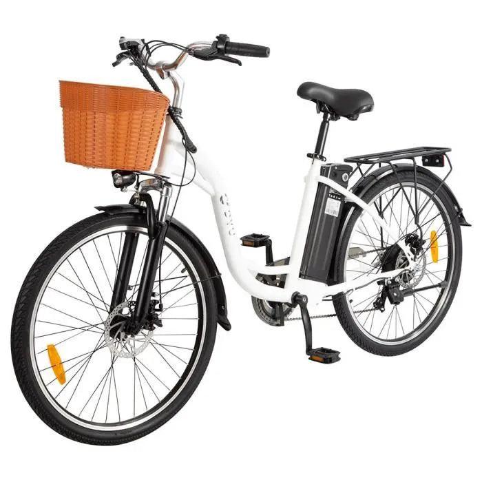 DYU C6 Upgraded Off Road E-Bike