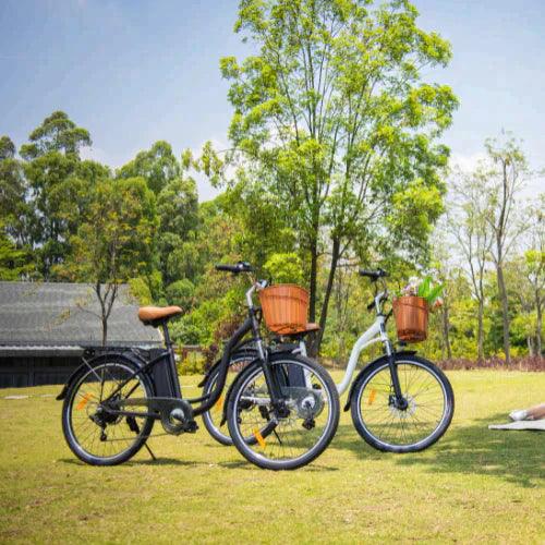 DYU C6 Upgraded Off Road E-Bike