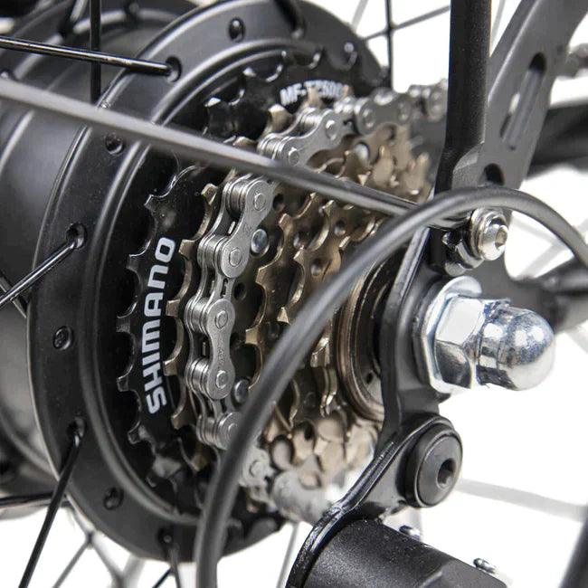 DYU C6 Upgraded Off Road E-Bike