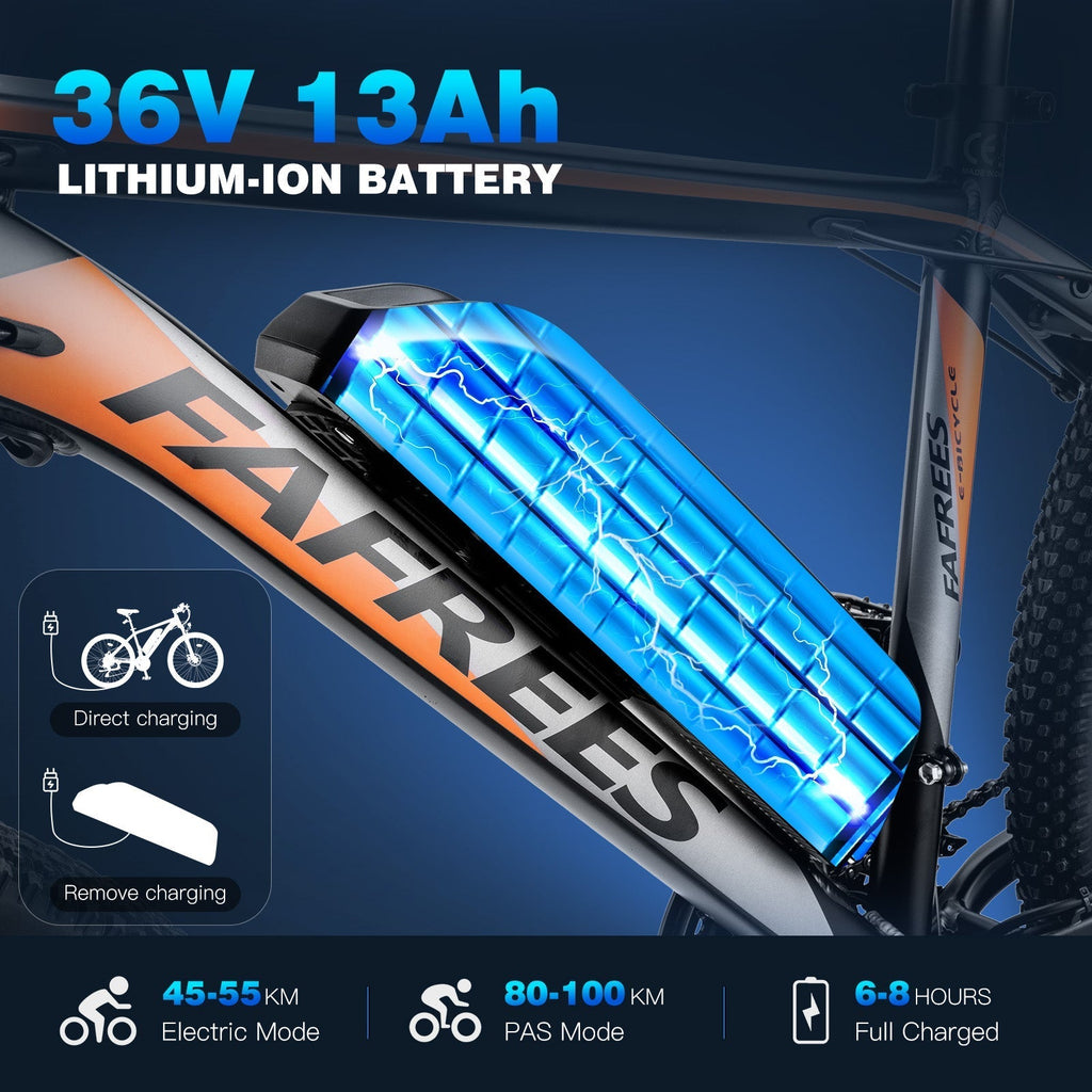 Fafrees 26 Hailong One Electric Bike