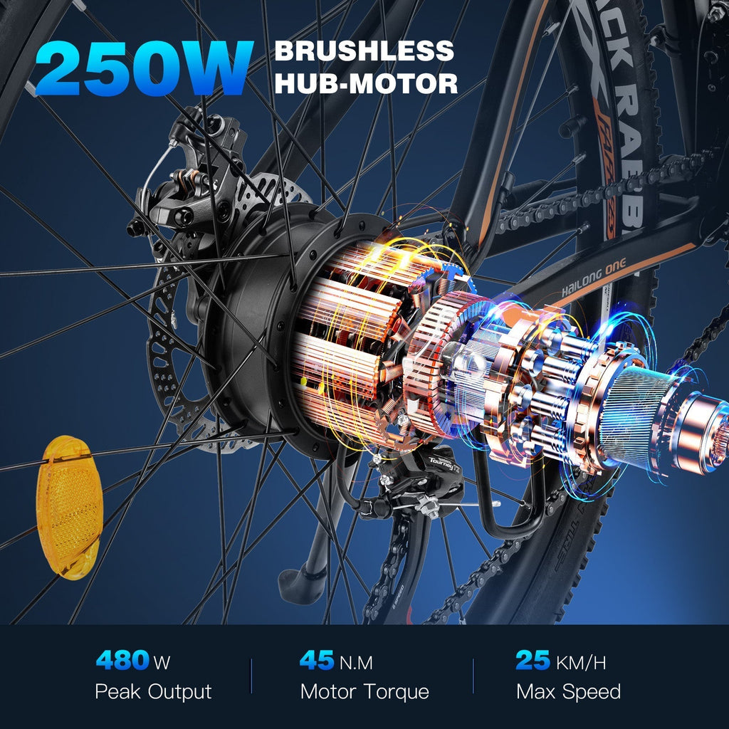 Fafrees 26 Hailong One Electric Bike
