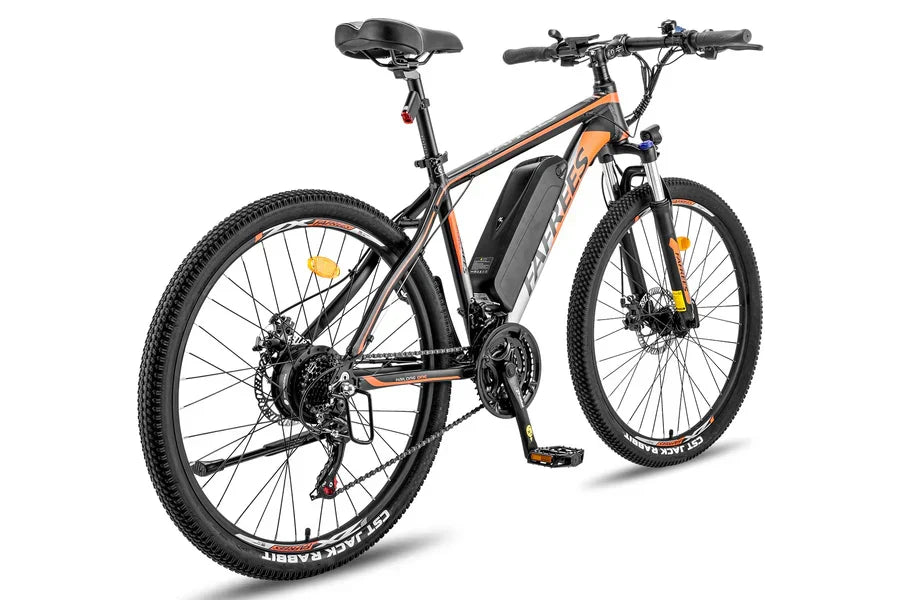 Fafrees 26 Hailong One Electric Bike