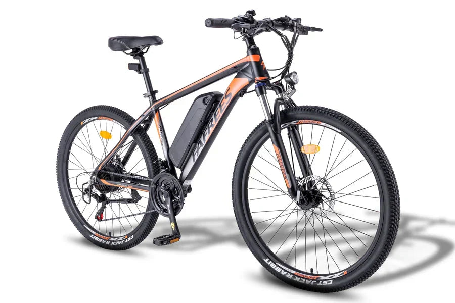 Fafrees 26 Hailong One Electric Bike