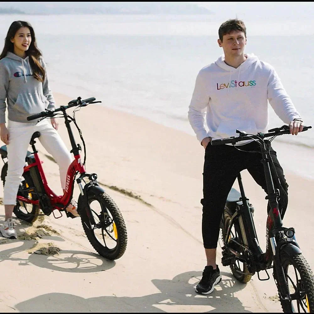 FAFREES F20 Folding Electric Bike