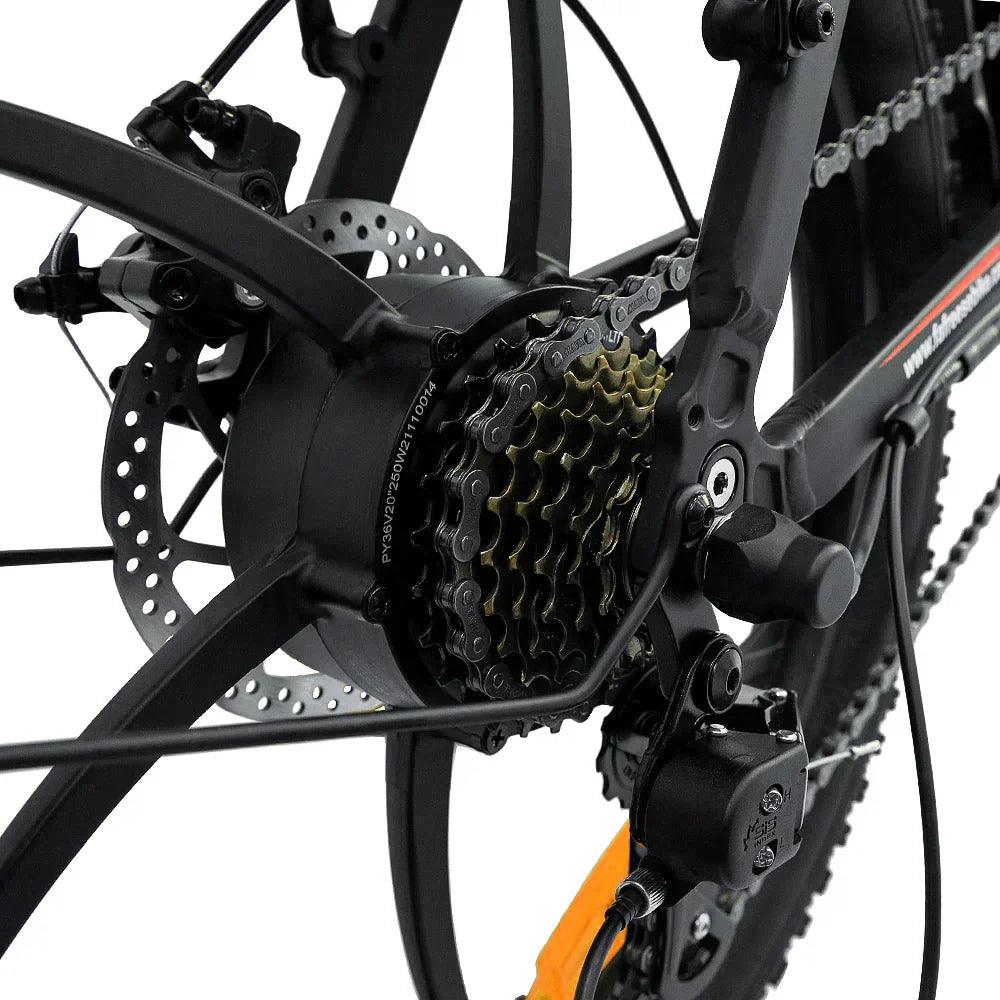 FAFREES F20 Folding Electric Bike