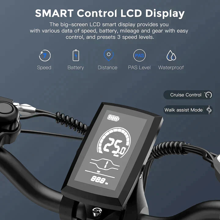 FAFREES F20 Max Off Road E-Bike