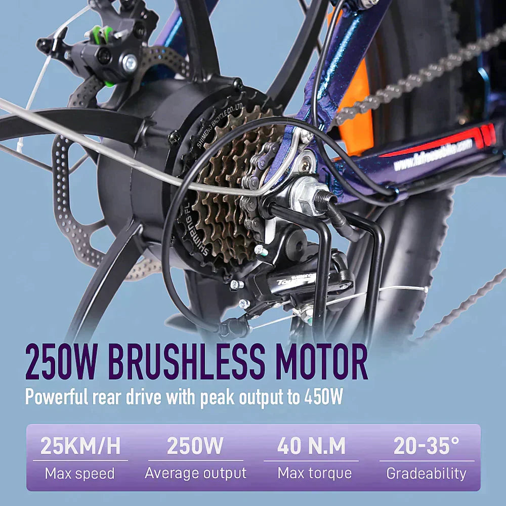FAFREES F20 Pro Electric Bike