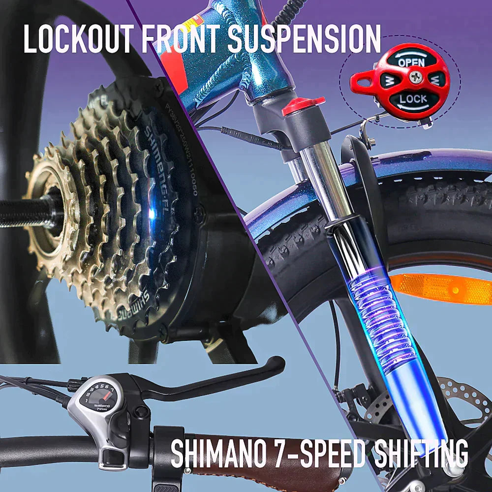FAFREES F20 Pro Electric Bike
