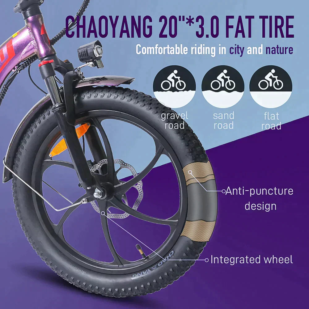 FAFREES F20 Pro Electric Bike