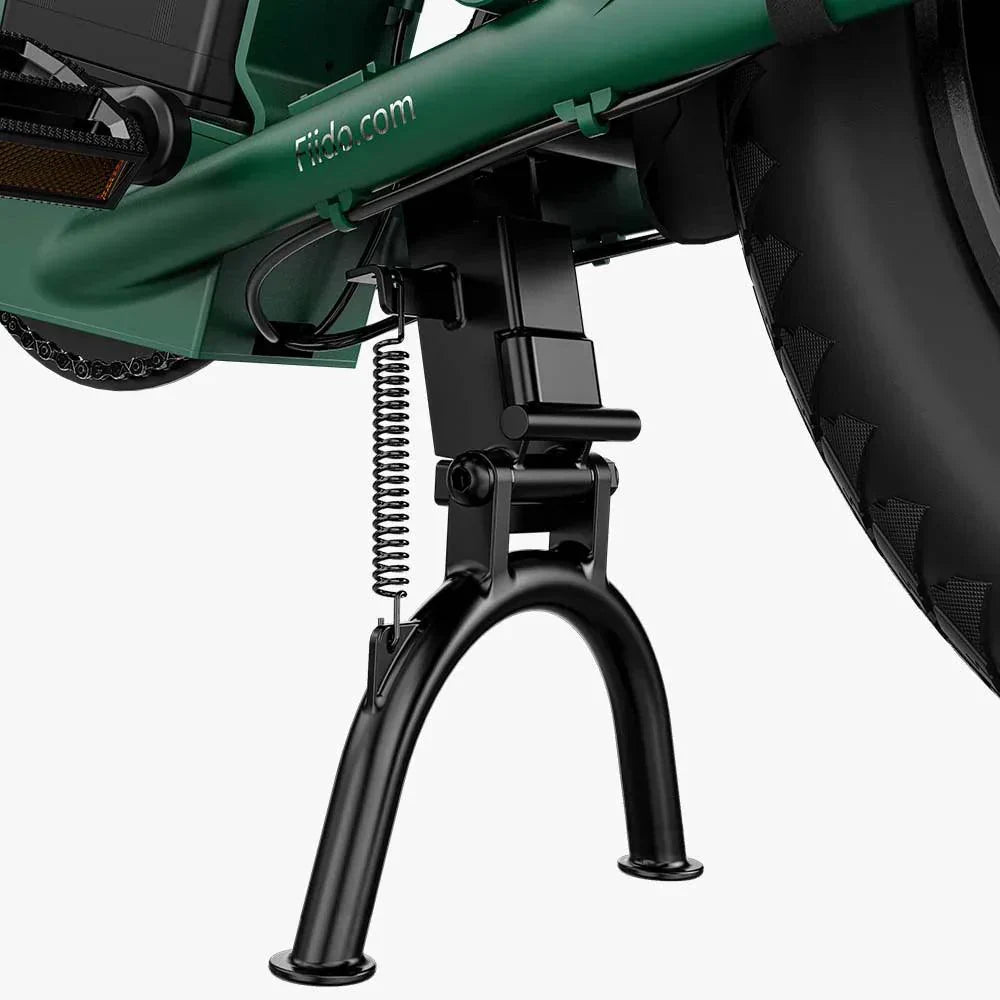 Fiido T2 Longtail Cargo Off Road E-Bike