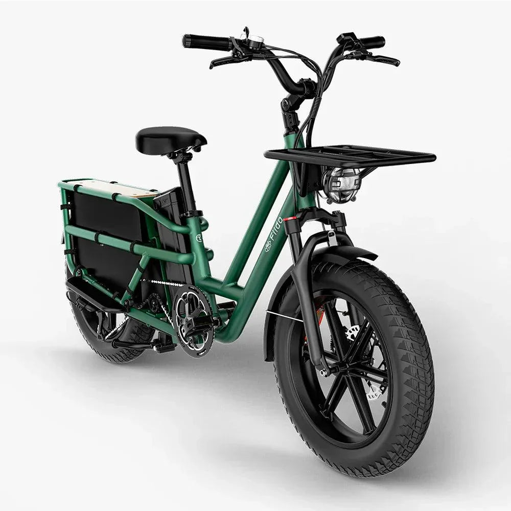 Fiido T2 Longtail Cargo Off Road E-Bike