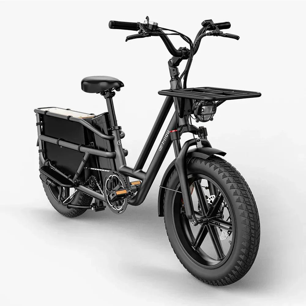 Fiido T2 Longtail Cargo Off Road E-Bike