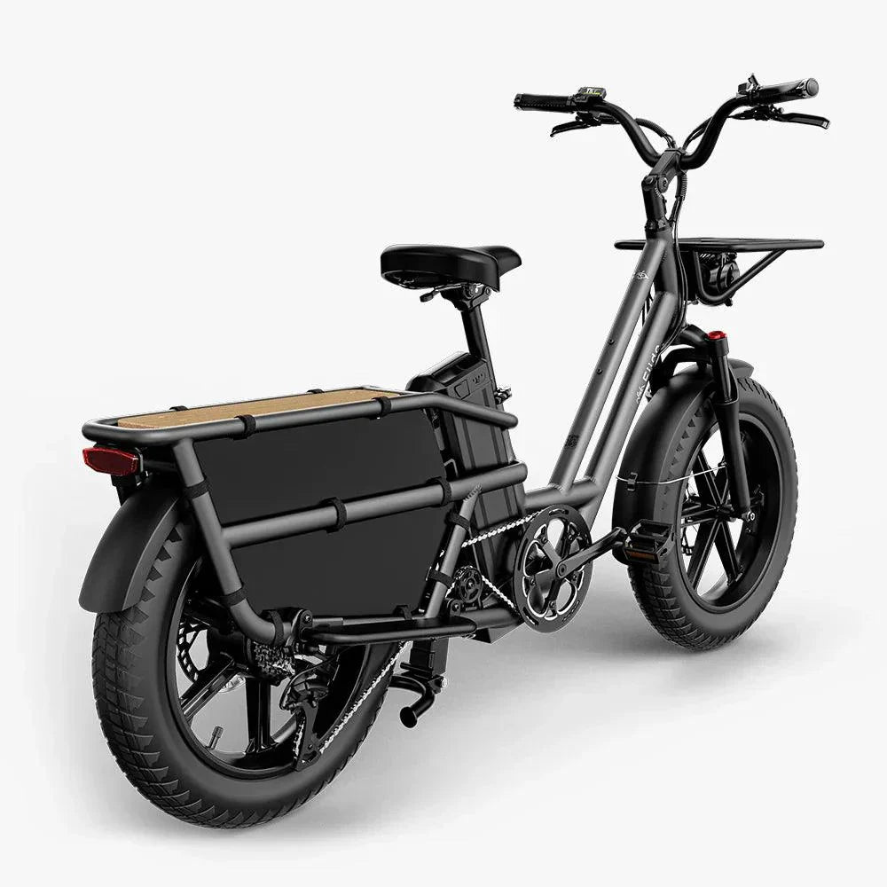 Fiido T2 Longtail Cargo Off Road E-Bike