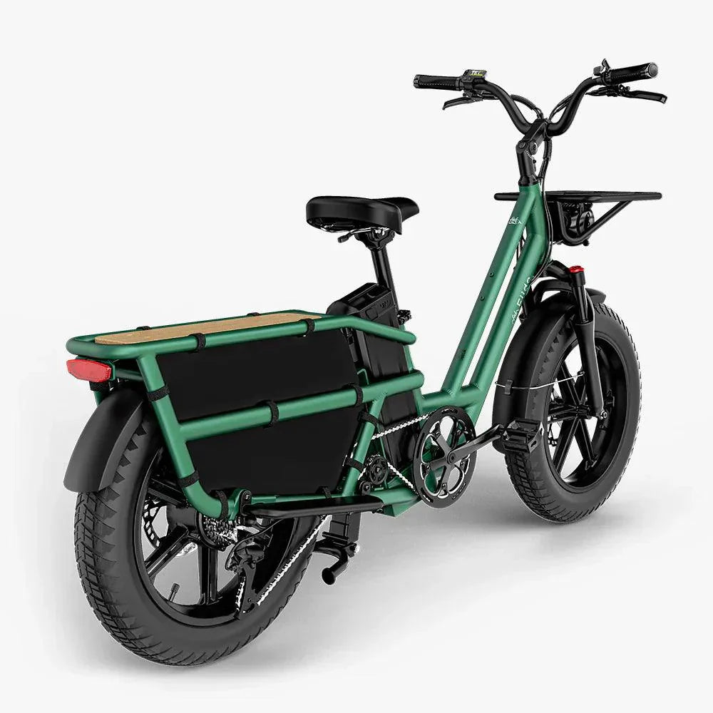 Fiido T2 Longtail Cargo Off Road E-Bike