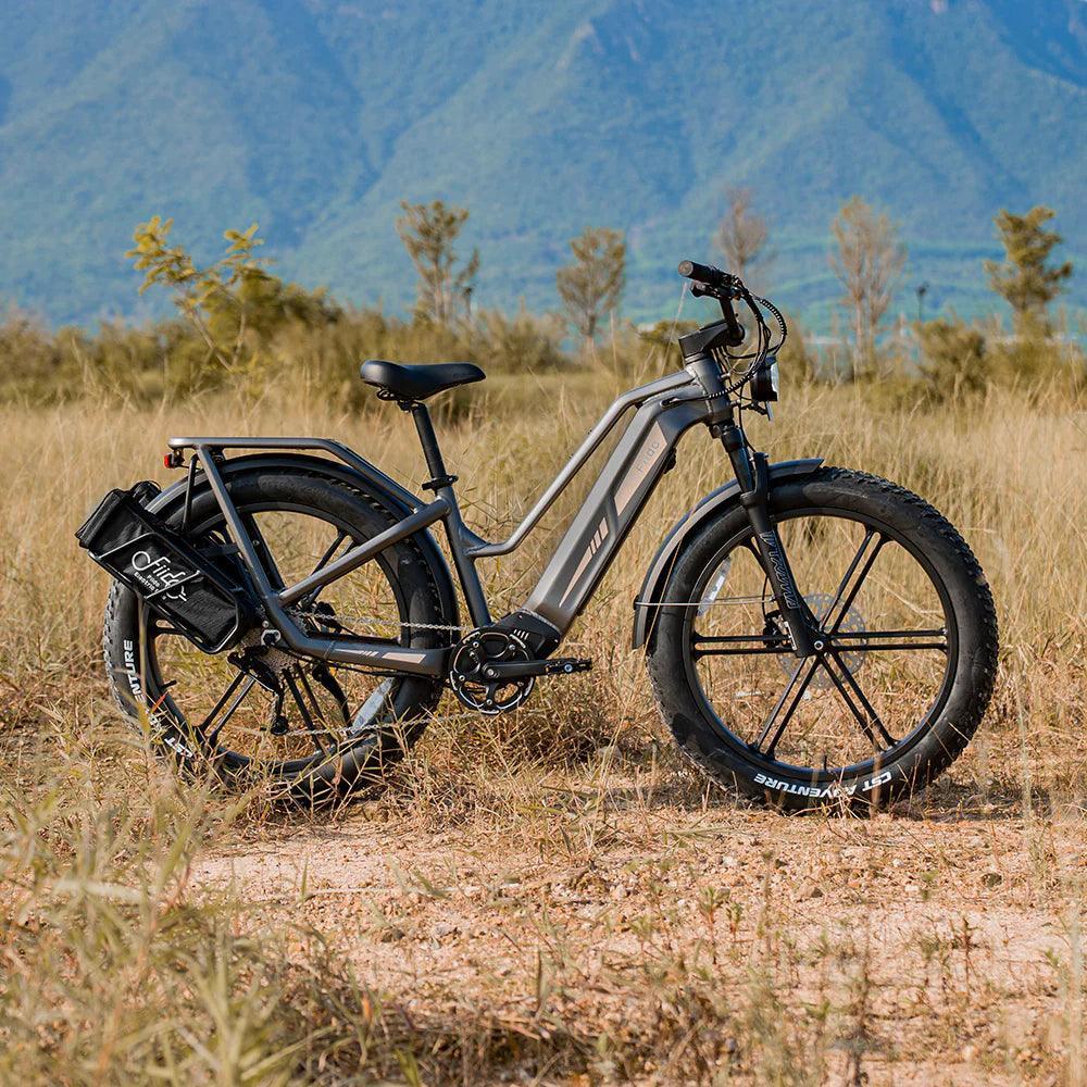 Fiido Titan Robust Cargo Off Road E-Bike